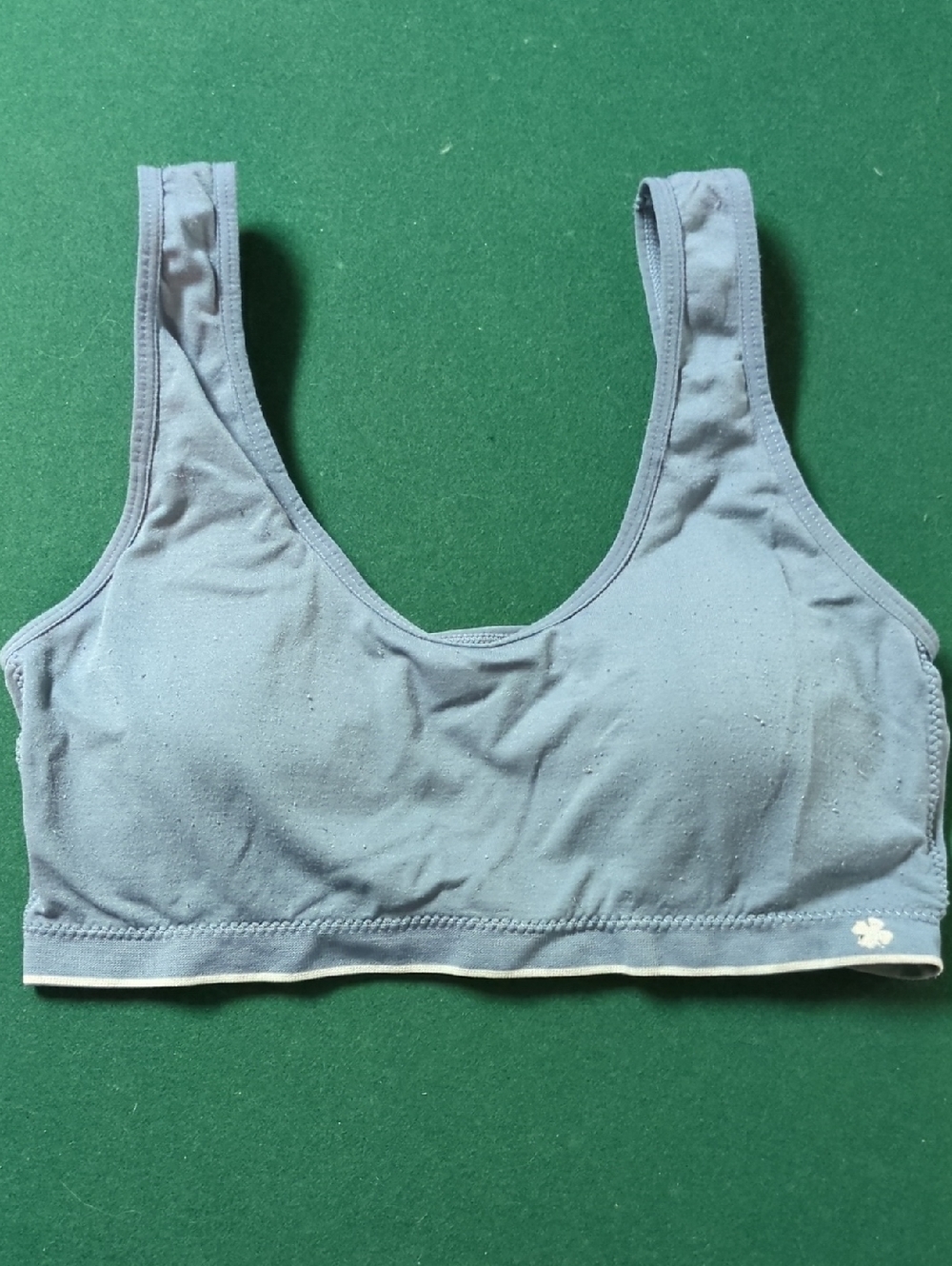 Lucky Brand Dusty Blue Scoop Bralette